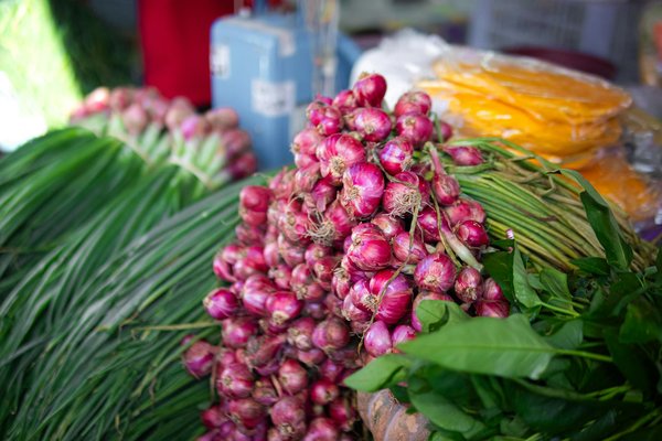 Discover the Easiest-to-Clean Garlic Press: Your Ultimate Guide to Choosing the Best One!