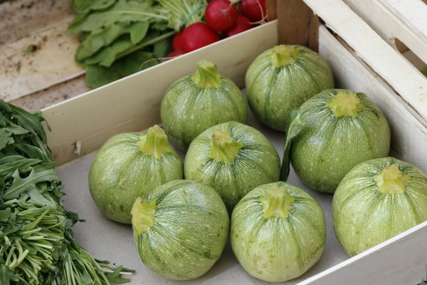 Uncovering the benefits of compostable packaging for restaurants: embracing sustainability in dining